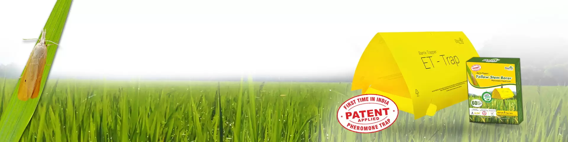 Protect Your Paddy Fields With