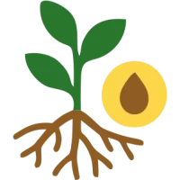 Contributes to a Healthier Root Environment